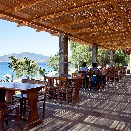 بيت ضيافة Sahin & Restaurant يالتْشيفليك