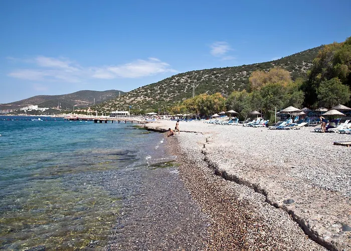 Affittacamere Sahin & Restaurant