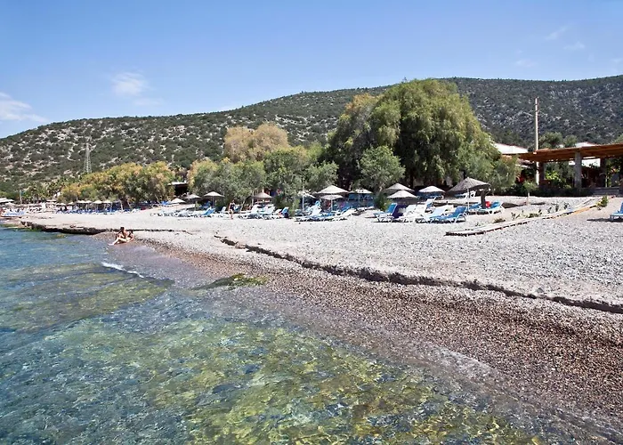 Pensión Sahin & Restaurant