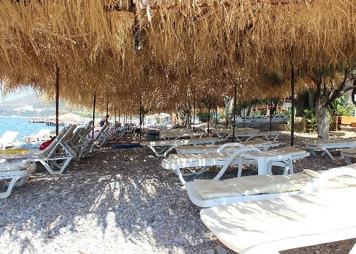 Sahin & Restaurant Pensión