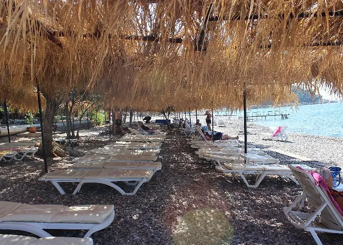 Pensión Sahin & Restaurant 3*